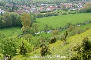 AAElnes