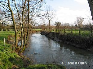 LianeCarly