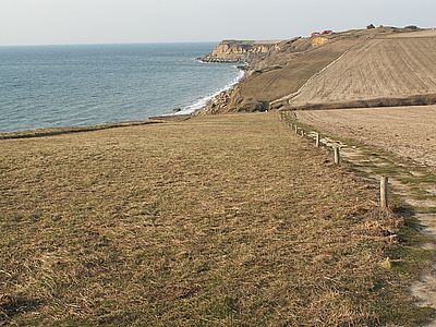 docob site 5 1