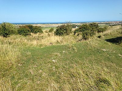 site4photo2