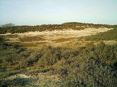 site 6 2