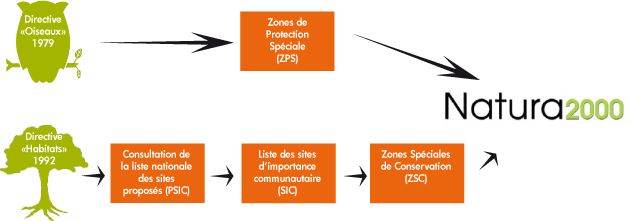 schema