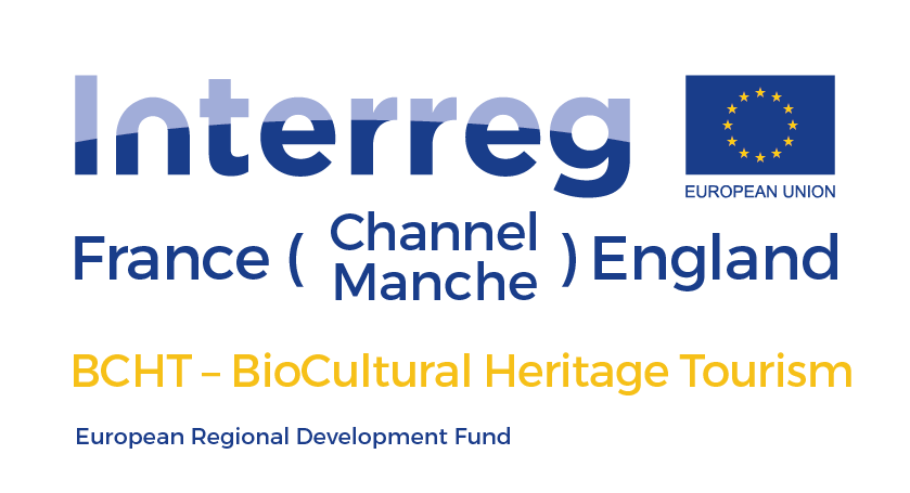Logo BCHT
