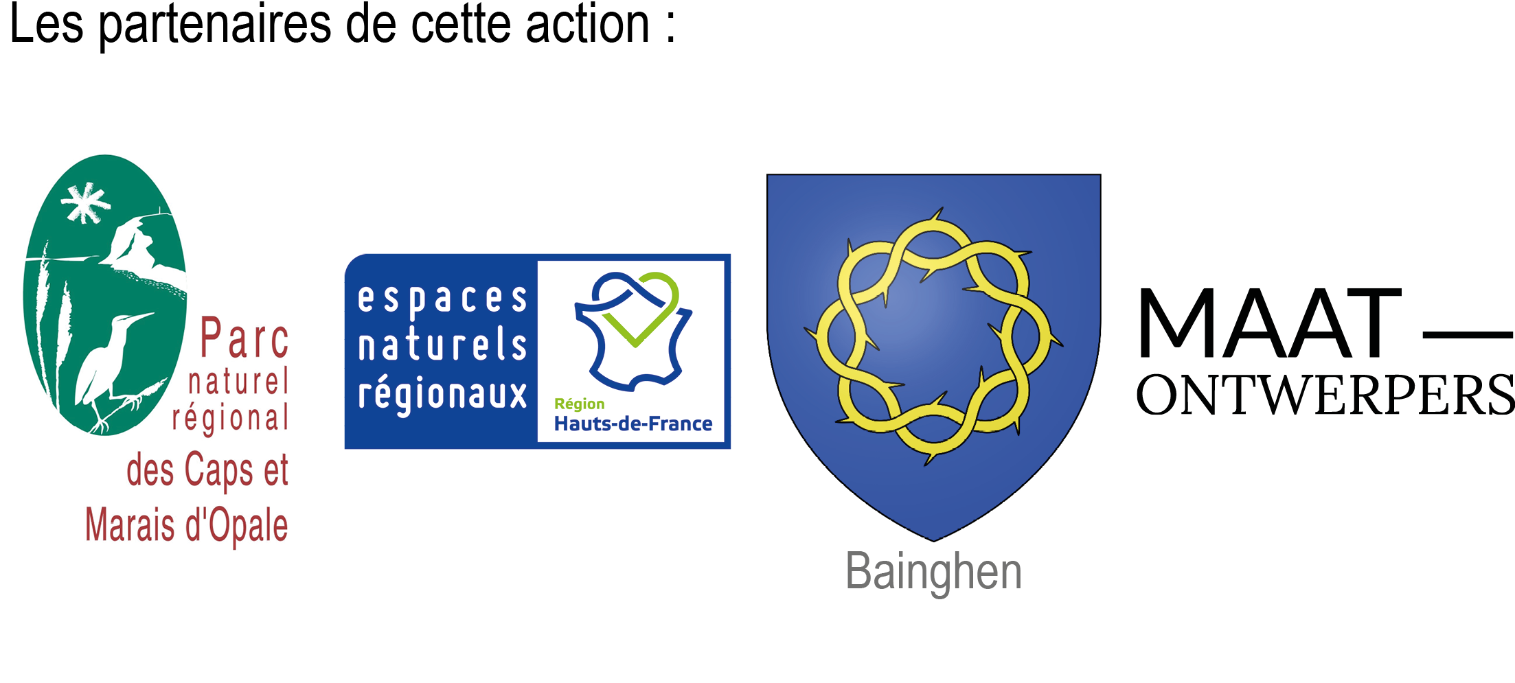 bainghen logos