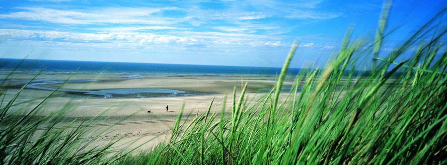 l'un des paysages du littoral des Caps et Marais d'Opale : les dunes blanches à oyats