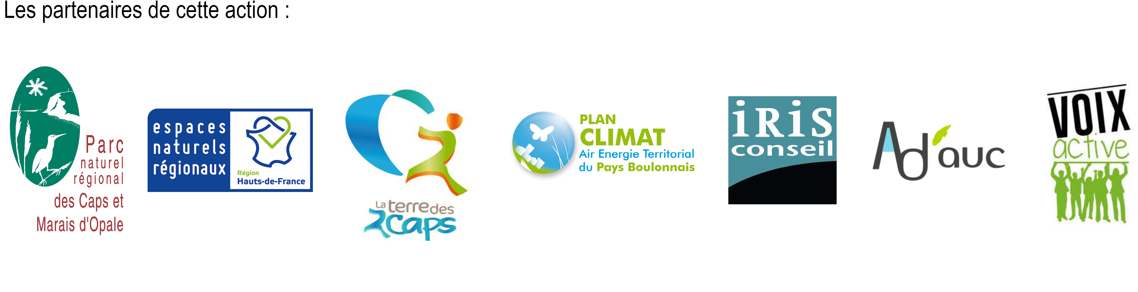 t2c logos
