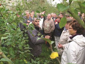 Conseils de plantation dans le cadre de Plantons le décor. 