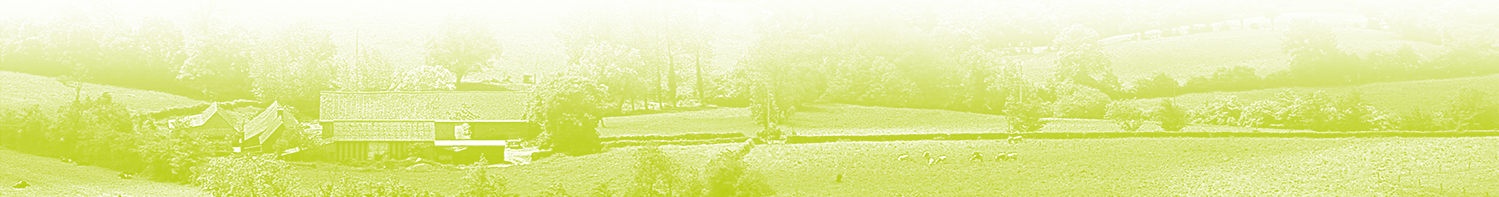 photobocagebasdepage